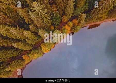 Luftaufnahme von oben auf den See und Herbstwald Stockfoto