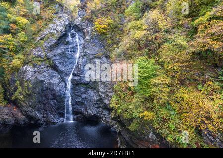 Die Wasserfälle von Foyers Wasserfall in niedrigen Spaten in der Nähe von Loch Ness in den schottischen Highlands Stockfoto