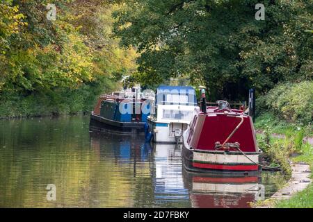 Haus Boote auf dem Kennet und Avon Kanal in der Nähe von Bradford auf Avon, Wiltshire, Großbritannien. Fotografiert im Herbst. Stockfoto