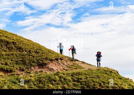 Peaple Wandern in den Bergen. Guter Wanderweg. Blick vom Hochgrat bei Oberstaufen (Bayern, Bayern, Deutschland). Stockfoto