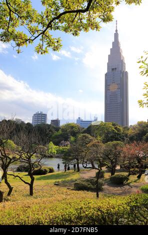 Shinjuku Gyoen Garten mit NTT Docomo Yoyogi Gebäude in der Hintergrund.Shinjuku.Tokio.Japan Stockfoto