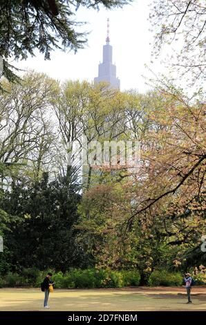 Shinjuku Gyoen Garten mit NTT Docomo Yoyogi Gebäude in der Hintergrund.Shinjuku.Tokio.Japan Stockfoto