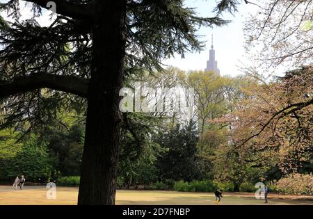 Shinjuku Gyoen Garten mit NTT Docomo Yoyogi Gebäude in der Hintergrund.Shinjuku.Tokio.Japan Stockfoto