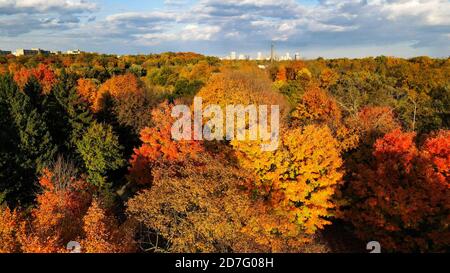 Schöner und farbenfroher McKillop Park in London Ontario Kanada im Herbst 2020. Luke Durda/Alamy Stockfoto