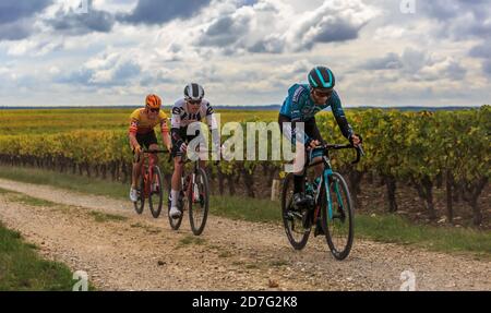 Noizay, Frankreich - 11. Oktober 2020: Gruppe von drei Radfahrern, darunter der Däne Casper Pedersen vom Team Sunweb, der das Rennen gewann und im Weinland fuhr Stockfoto