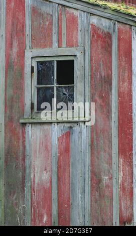 Alte verwitterte rote Scheunenwand mit einem kaputten Fenster. Stockfoto