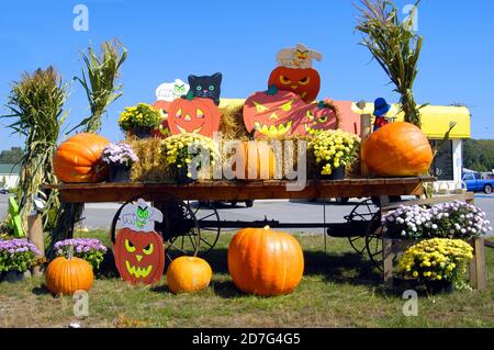 Michigan Straße Seite Gemüsestand mit Kürbissen auf dem Display für halloween Stockfoto