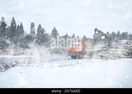 Ein LKW transportiert Holzstämme im Rücken. Holzstapler Stockfoto