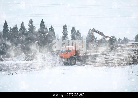 Ein LKW transportiert Holzstämme im Rücken. Holzstapler Stockfoto