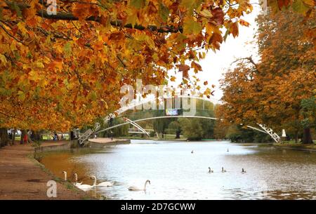 Bunte Bäume am Fluss während der HerbstjahreszeitenHerbstliche Farbe in den Bäumen am Ufer des Flusses Ouse. Stockfoto