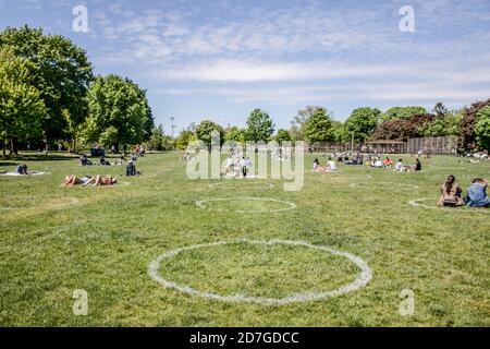 Toronto, Ontario, Kanada. Mai 2020. Menschen hängen im Trinity Bellwoods Park, sitzen in "Social Distancing Circles" Credit: Shawn Goldberg/SOPA Images/ZUMA Wire/Alamy Live News Stockfoto