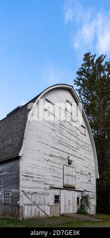 Alte Holzscheune im Nisqually National Wildlife Refuge Stockfoto