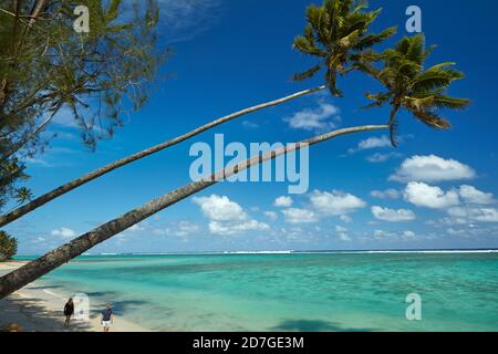 Zwei Kokospalmen und Pazifischer Ozean, Rarotonga, Cookinseln, Südpazifik Stockfoto