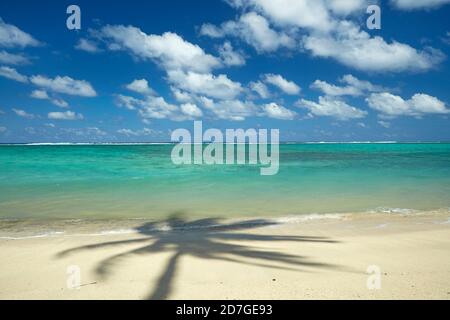 Kokospalmen Schatten am Strand und Pazifik, Rarotonga, Cook Inseln, Südpazifik Stockfoto
