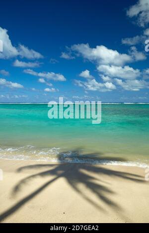 Kokospalmen Schatten am Strand und Pazifik, Rarotonga, Cook Inseln, Südpazifik Stockfoto