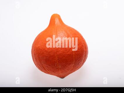 Gelbe Kürbis Gemüse isoliert auf weißem Hintergrund Stockfoto