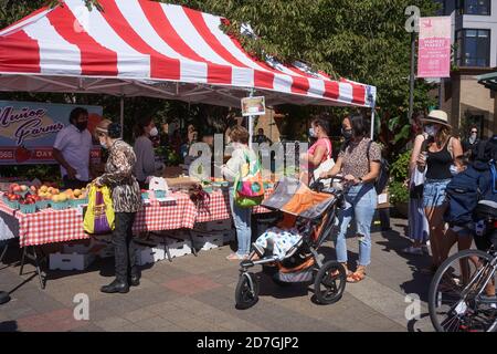 Maskierte Käufer und Verkäufer auf dem Saturday Farmers Market in Lake Oswego, Oregon, am 29. August 2020 während der Coronavirus-Pandemie. Stockfoto