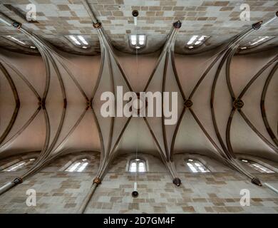 Esslingen am Neckar, Frauenkirche, Blick ins Gewölbe Stockfoto
