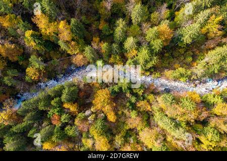 Aus der Vogelperspektive auf einen kleinen Bergbach, der im abgelegenen Tal nahe Velika planina liegt und von Wäldern in Herbstfarben umgeben ist, Slowenien Stockfoto
