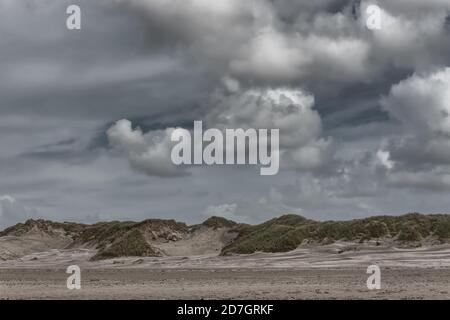 Blaavand Stranddünen an der Nordseeküste an einem windigen Tag, Dänemark Stockfoto