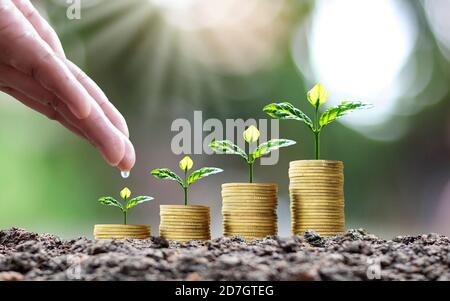Bepflanzung auf gestapelten Münzen und Handbewässerung Pflanzen auf grün verschwommen Hintergrund und natürliches Licht mit finanziellen Konzept. Stockfoto