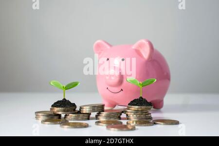 Das Münzdiagramm zeigt das finanzielle Wachstum und wachsende Bäume auf Münzstapeln, einschließlich Sparschwein, Ideen zur Geldeinsparung und finanzielles Wachstum. Stockfoto