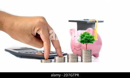 Die Hände der Investoren werden auf einen Stapel flacher Münzen gelegt und Bäume auf einen Münzstapel mit Geld sparenden und pädagogischen Anlageideen. Stockfoto