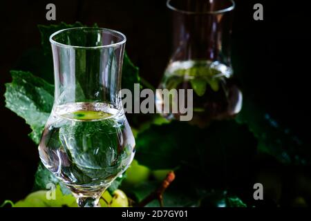 Traditioneller italienischer Wodka, Stillleben im rustikalen Stil, dunkler Holzhintergrund, selektiver Fokus Stockfoto