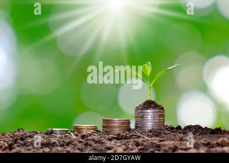 Pflanzsälung auf gestapelten Münzen und fruchtbarem Boden, das Konzept für Investitionen für Landwirtschaft und Anbau. Stockfoto