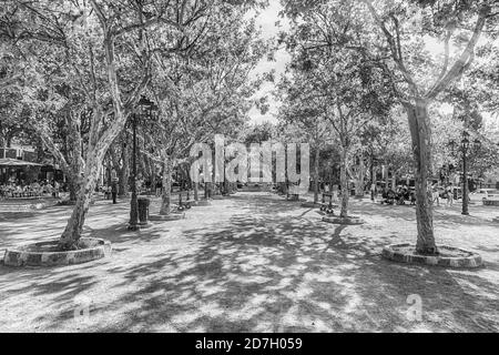 SAINT-TROPEZ, FRANKREICH - 16. AUGUST: Der malerische Place des Lices in Saint-Tropez, Cote d'Azur, Frankreich, 16. August 2019. Auf dem Platz befindet sich ein Beweis Stockfoto