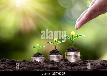 Bepflanzung auf gestapelten Münzen und Handbewässerung Pflanzen auf grün verschwommen Hintergrund und natürliches Licht mit finanziellen Konzept. Stockfoto