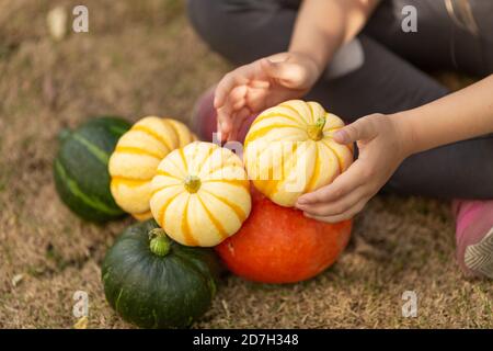 Stilvolle kleine kaukasische Mädchen sechs Jahre alt Holding frisch geerntet Kürbis im Freien Stockfoto