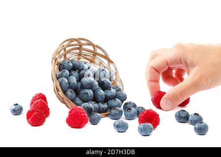 Frische Heidelbeeren und Himbeeren in Korbkörben isoliert auf weißem Hintergrund. Stockfoto