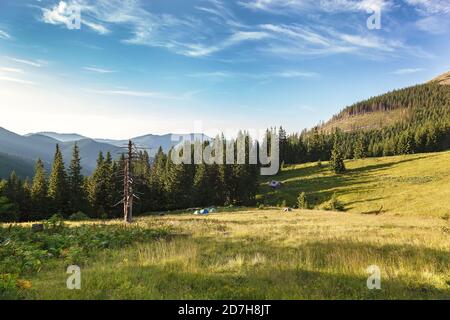 Touristische Zelte auf einer grünen Wiese in der Nähe eines Waldes in den Bergen. Stockfoto