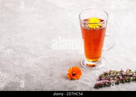 Glas Kräutertee mit Ringelblume und Ysop auf grauem Betongrund. Morninig, Frühling, gesundes Getränkekonzept. Seitenansicht, selektiver Fokus, Kopieren Stockfoto