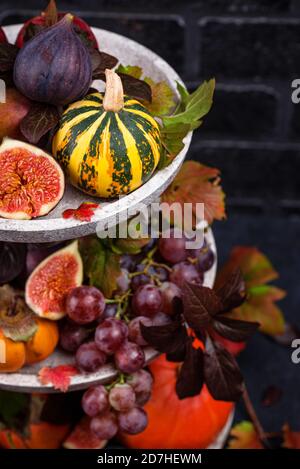 Halloween Komposition mit Herbstfrüchten Stockfoto