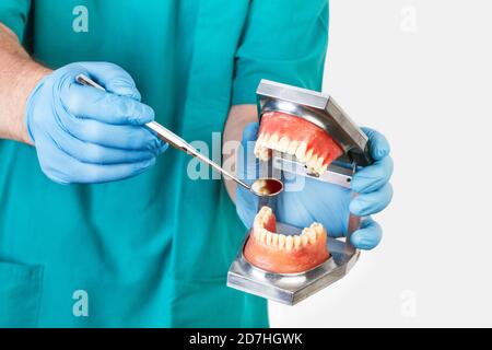 Zahnarzt, der mit einem Zahnarztspiegel eine Kunststoffprothese zeigt Stockfoto