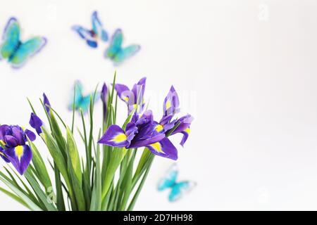 Purple Iris auf weißem Hintergrund mit Schmetterlingen Stockfoto