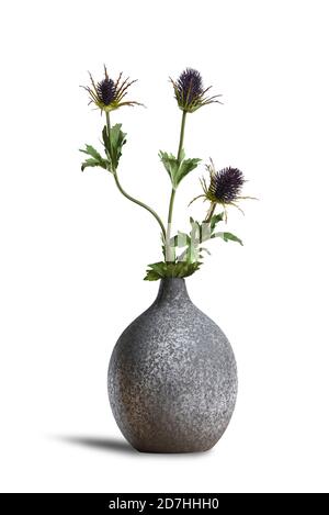 Moderne Keramikvase mit Distelblume isoliert auf weißem Hintergrund Stockfoto