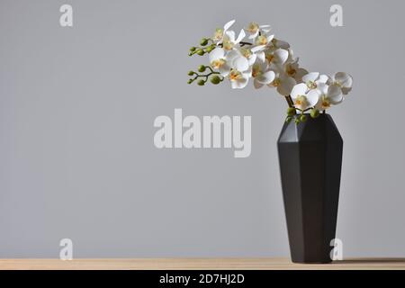 Moderne geometrische schwarze Vase mit Orchideenblume auf grauem Hintergrund Stockfoto