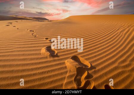 Sonnenuntergang über Fußspuren im Sand, Sahara - Erg Chebbi, Marokko Stockfoto