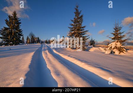 Winter verschneite Hügel, Spuren auf ländlichen Feldweg und Bäume in letzten Abend Sonnenuntergang Sonne Licht. Kleines und ruhiges alpines Dorf am Stadtrand. Stockfoto