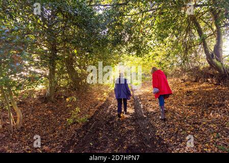 Zwei Frauen, die im Herbst durch Bäume auf einer sonnenbeschienenen Fußweg Stockfoto