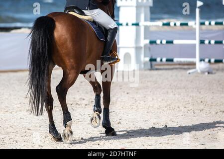 Springreiten, Pferdesport themed Foto. Stockfoto