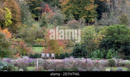 Formelle Gärten im Dyrham Park, Gloucestershire. Drei Holzgartenstühle in einer Reihe unten links auf dem Foto. Fotografiert im Herbst. Stockfoto