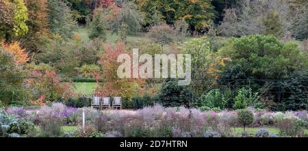 Formelle Gärten im Dyrham Park, Gloucestershire. Drei Holzgartenstühle in einer Reihe unten links auf dem Foto. Fotografiert im Herbst. Stockfoto