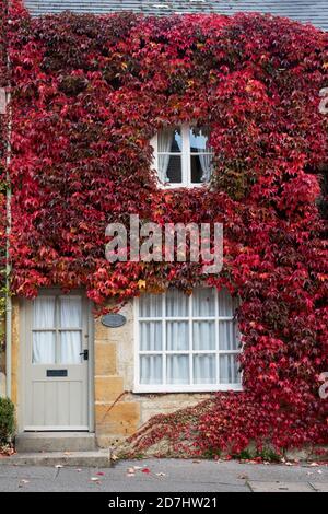 Sheep Street Cottages bedeckt in Boston Ivy im Herbst. Staw on the Wold, Gloucestershire, Cotswolds, England Stockfoto