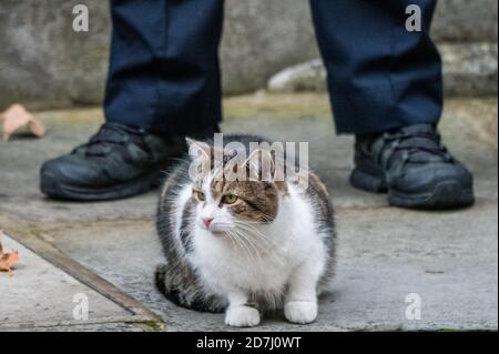 London, Großbritannien. Oktober 2020. Der Premierminister kommt zurück, um an dem jährlichen Poppy Appeal teilzunehmen, der von Larry, der Katze, beobachtet wird. Kredit: Guy Bell/Alamy Live Nachrichten Stockfoto