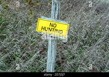 Ein "No Hunting"-Schild auf Privateigentum an der Grenze zwischen Ackerland und Wald in der Nähe der Stadt Orangeville im Süden von Ontario, Kanada. Stockfoto