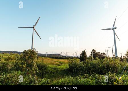 Windturbinen, Eole Cap-Chat Windpark, Quebec, Kanada. Stockfoto